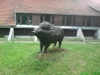 dsc00158-small