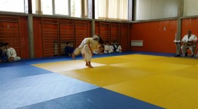 Polaganje 2.dio -SLIKE