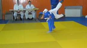 Polaganje 2013-slike